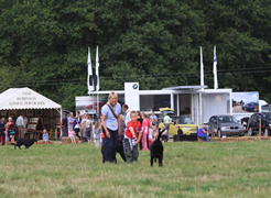 Hereford Country Fair